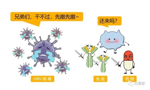 乙肝五项核心抗体阳性啥意思