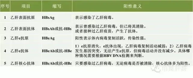 乙肝5项乙肝核心抗体阳性什么意思