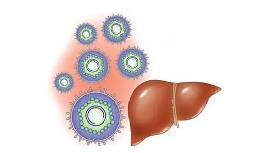 肝硬化的疗理方法是什么