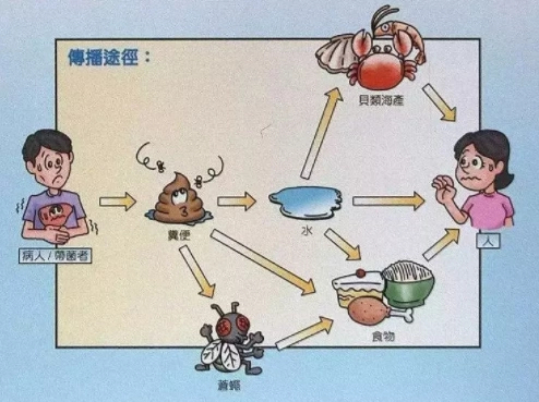 乙肝表面抗原阳性需要治疗吗