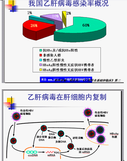 乙型肝炎病毒定量怎么看