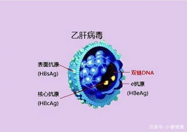 乙肝五项全部阴性正常吗