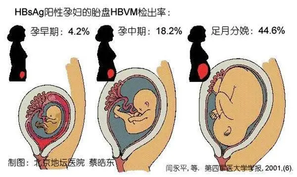 乙肝五项指的什么